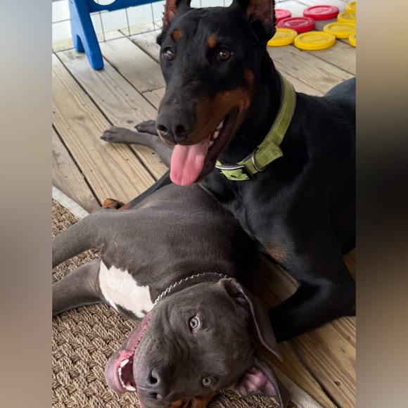 Meet your Posher, Rachael - Picture 7 of 10